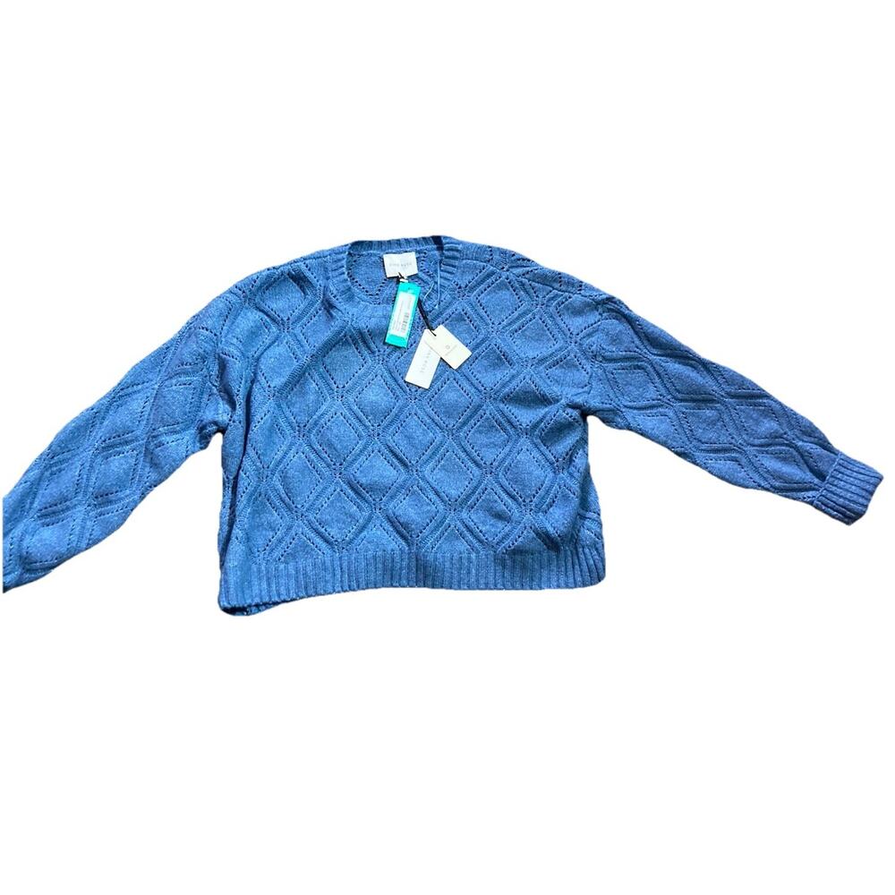 Pink Rose Lang Cropped Pointelle Sweater Long Sleeve Blue Women’s XXL NWT